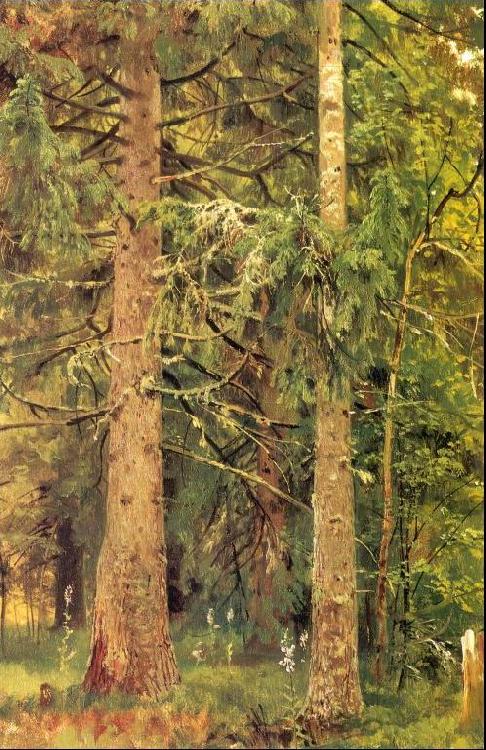 Ivan Shishkin Fir Forest Germany oil painting art